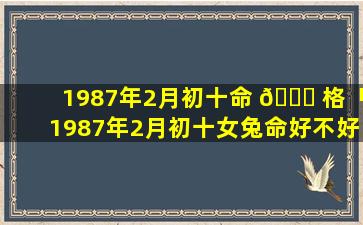 1987年2月初十命 🐅 格「1987年2月初十女兔命好不好」